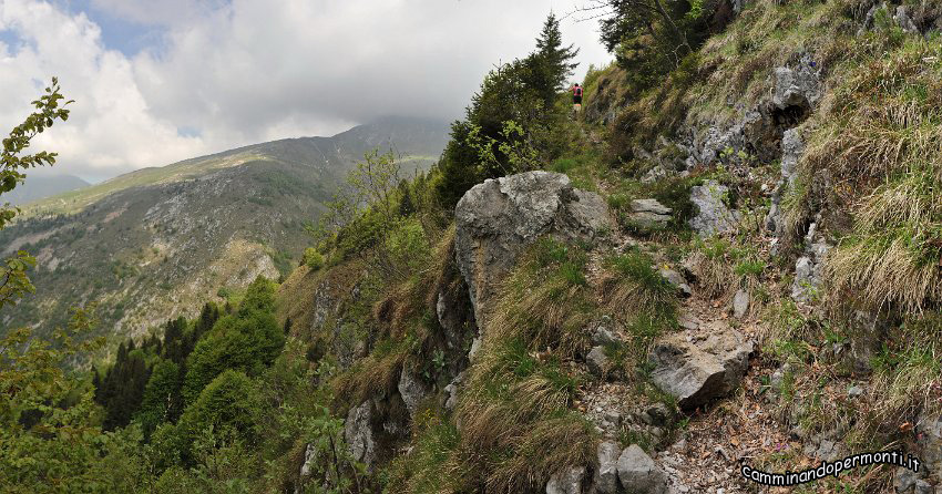 051 Periplo del Grem.jpg